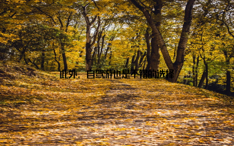 此外, 自驾游也是不错的选择