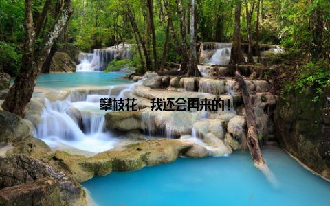 攀枝花, 我还会再来的!