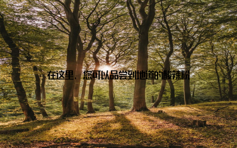 在这里, 您可以品尝到地道的酸辣粉