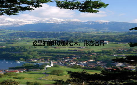 这里的梯田规模宏大, 形态各异