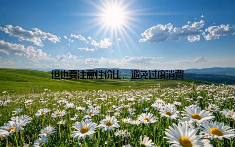 但也要注意性价比, 避免过度消费