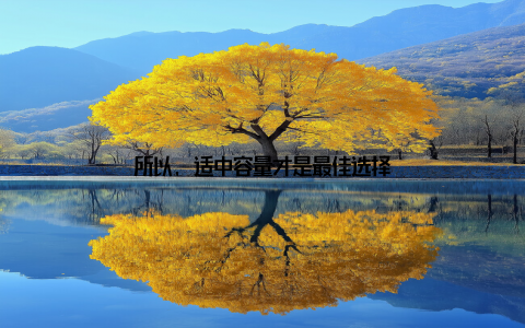 所以, 适中容量才是最佳选择