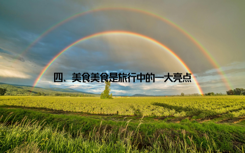 四、美食美食是旅行中的一大亮点