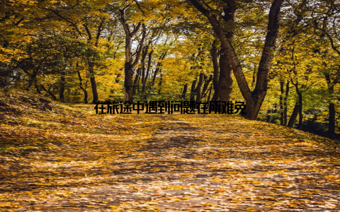 在旅途中遇到问题在所难免