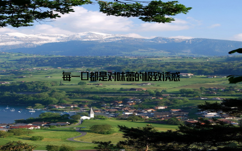 每一口都是对味蕾的极致诱惑