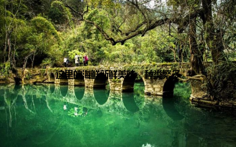 这里的海鲜新鲜美味, 种类繁多