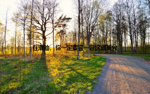 在潮汕, 你一定要尝一尝这道美食