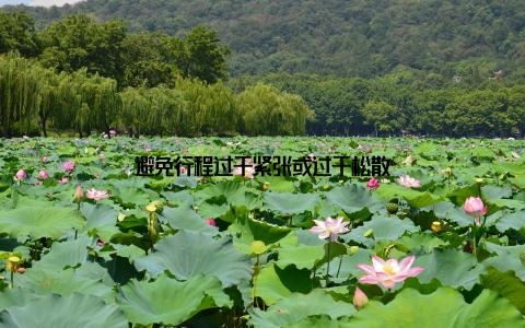 避免行程过于紧张或过于松散