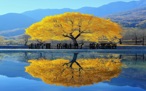 走进宁夏, 仿佛走进了一幅水墨画卷