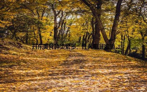 丹东美食种类繁多, 让人垂涎欲滴
