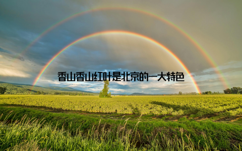 香山香山红叶是北京的一大特色