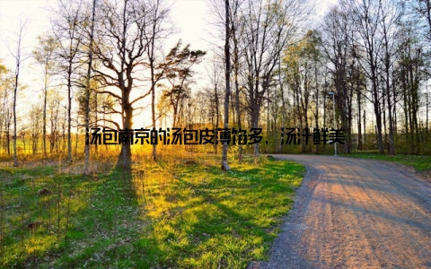 汤包南京的汤包皮薄馅多, 汤汁鲜美