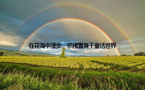 在花海中漫步, 仿佛置身于童话世界