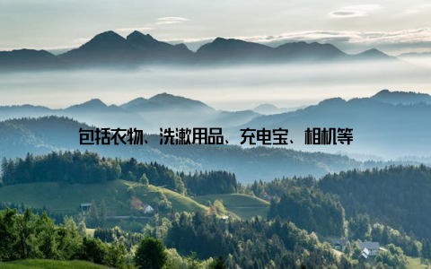 包括衣物、洗漱用品、充电宝、相机等