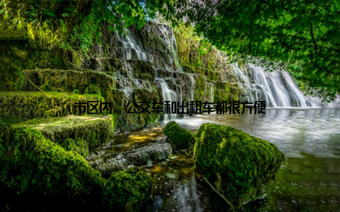 市区内, 公交车和出租车都很方便