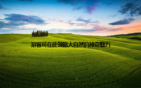 游客可在此领略大自然的神奇魅力