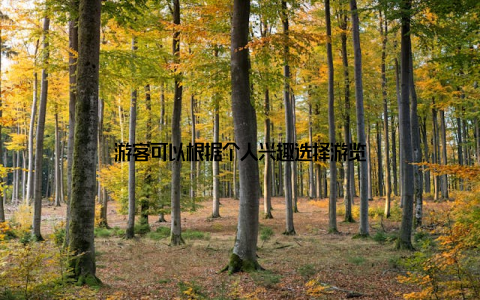 游客可以根据个人兴趣选择游览