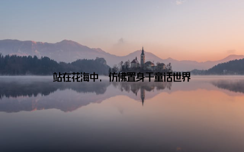 站在花海中, 仿佛置身于童话世界