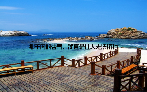 那羊肉的香气, 简直是让人无法抗拒