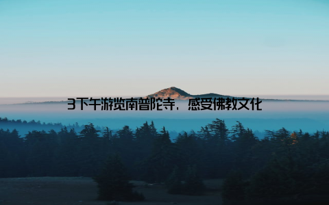 3下午游览南普陀寺, 感受佛教文化