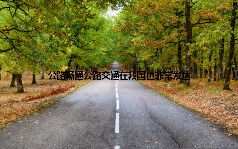 公路畅通公路交通在我国也非常发达