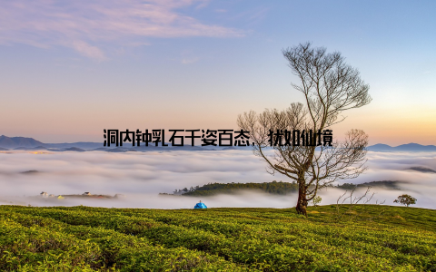 洞内钟乳石千姿百态, 犹如仙境