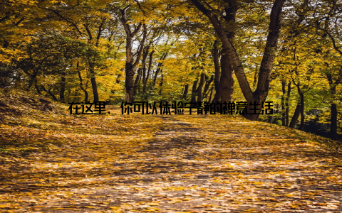 在这里, 你可以体验宁静的禅意生活