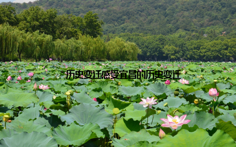 – 历史变迁感受宜昌的历史变迁