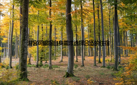 游客可根据自身需求选择合适的住宿