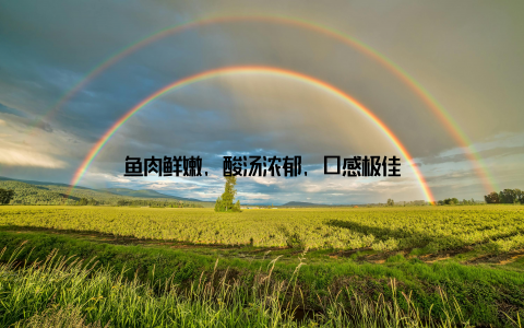 鱼肉鲜嫩, 酸汤浓郁, 口感极佳