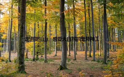 走进贺兰山, 感受大自然的鬼斧神工