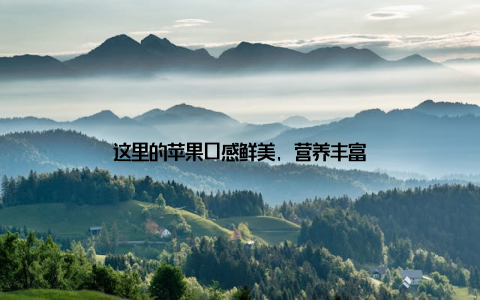 这里的苹果口感鲜美, 营养丰富