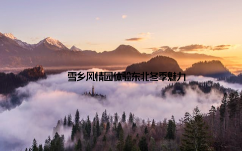 – 雪乡风情园体验东北冬季魅力