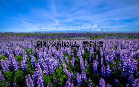 深圳公交系统发达, 票价实惠