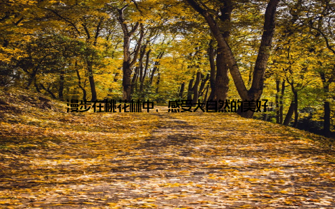 漫步在桃花林中, 感受大自然的美好