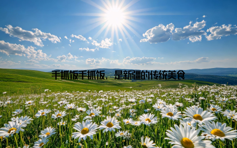 手抓饭手抓饭, 是新疆的传统美食