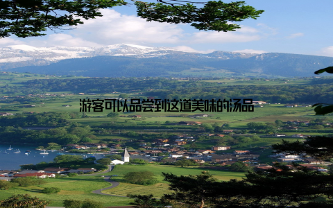 游客可以品尝到这道美味的汤品