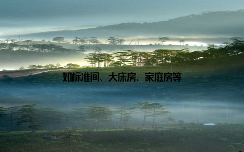 如标准间、大床房、家庭房等