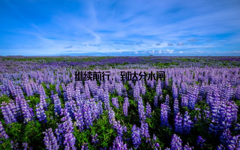 继续前行, 到达分水闸