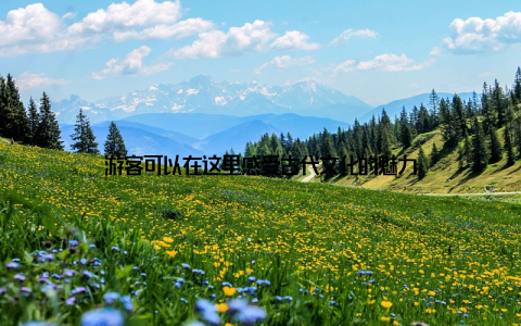 游客可以在这里感受古代文化的魅力