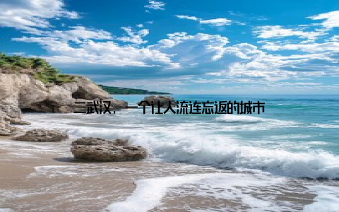 二武汉, 一个让人流连忘返的城市