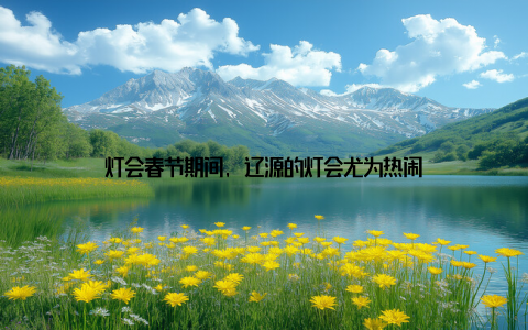 灯会春节期间, 辽源的灯会尤为热闹